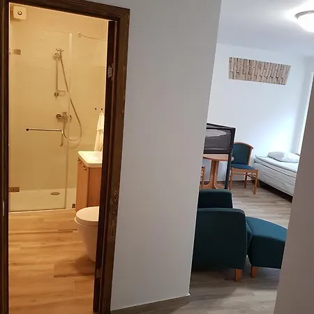 Apartments Borovik