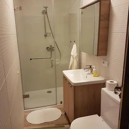 Apartment Apartments Borovik *